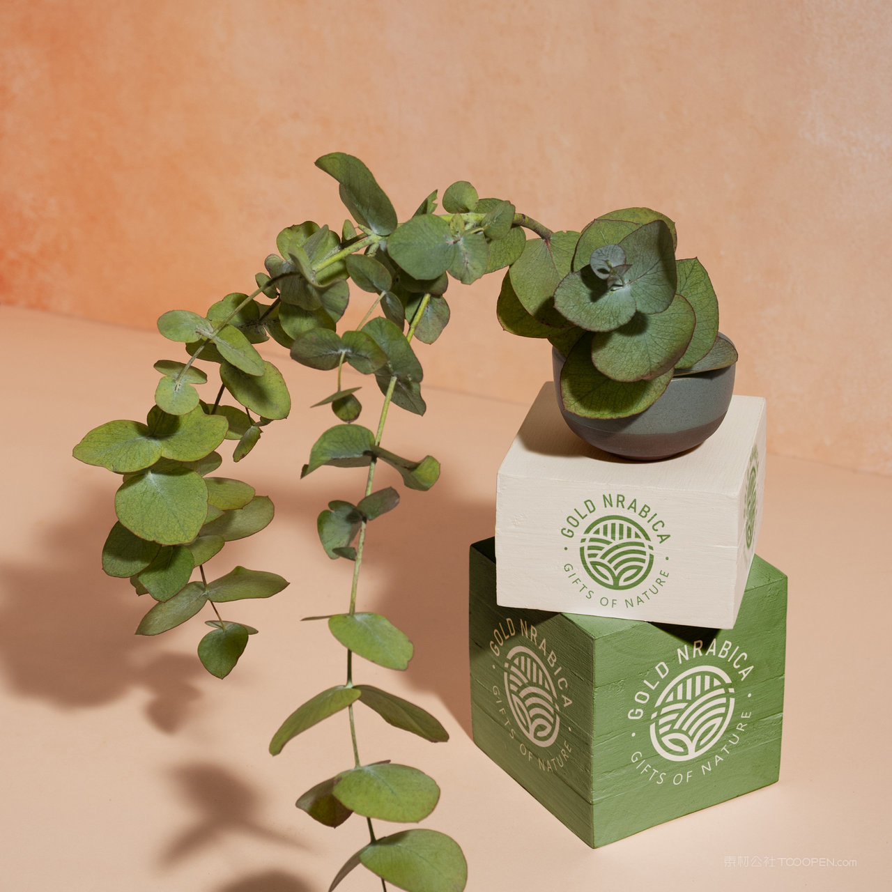 绿植化妆品护肤品包装盒贴图样机