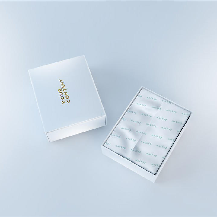 简约烫金轻奢礼盒设计展示样机