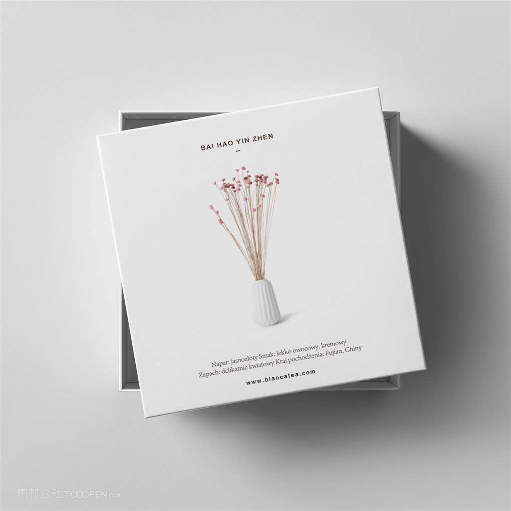 简约包装盒样机模板