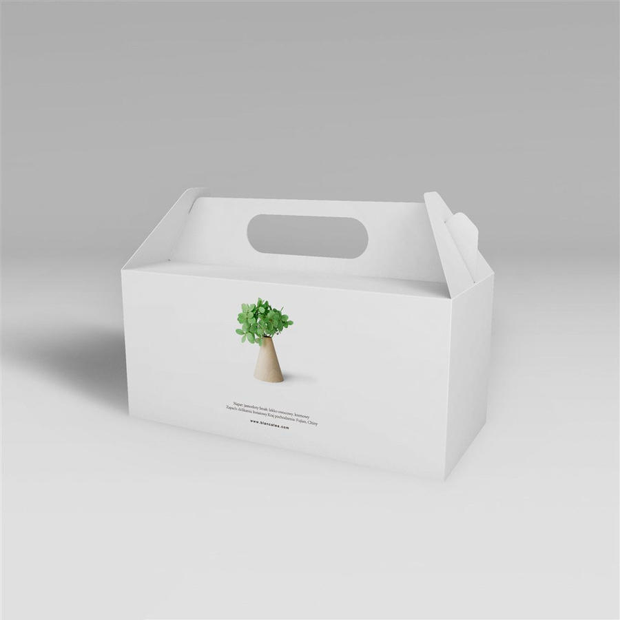 纸盒包装盒高档手提礼盒包装样机