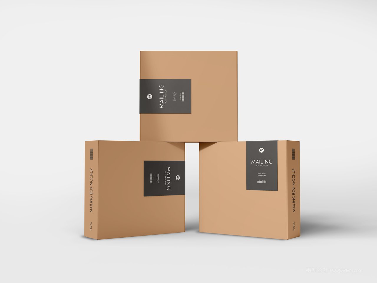 纸质快递包装盒样机