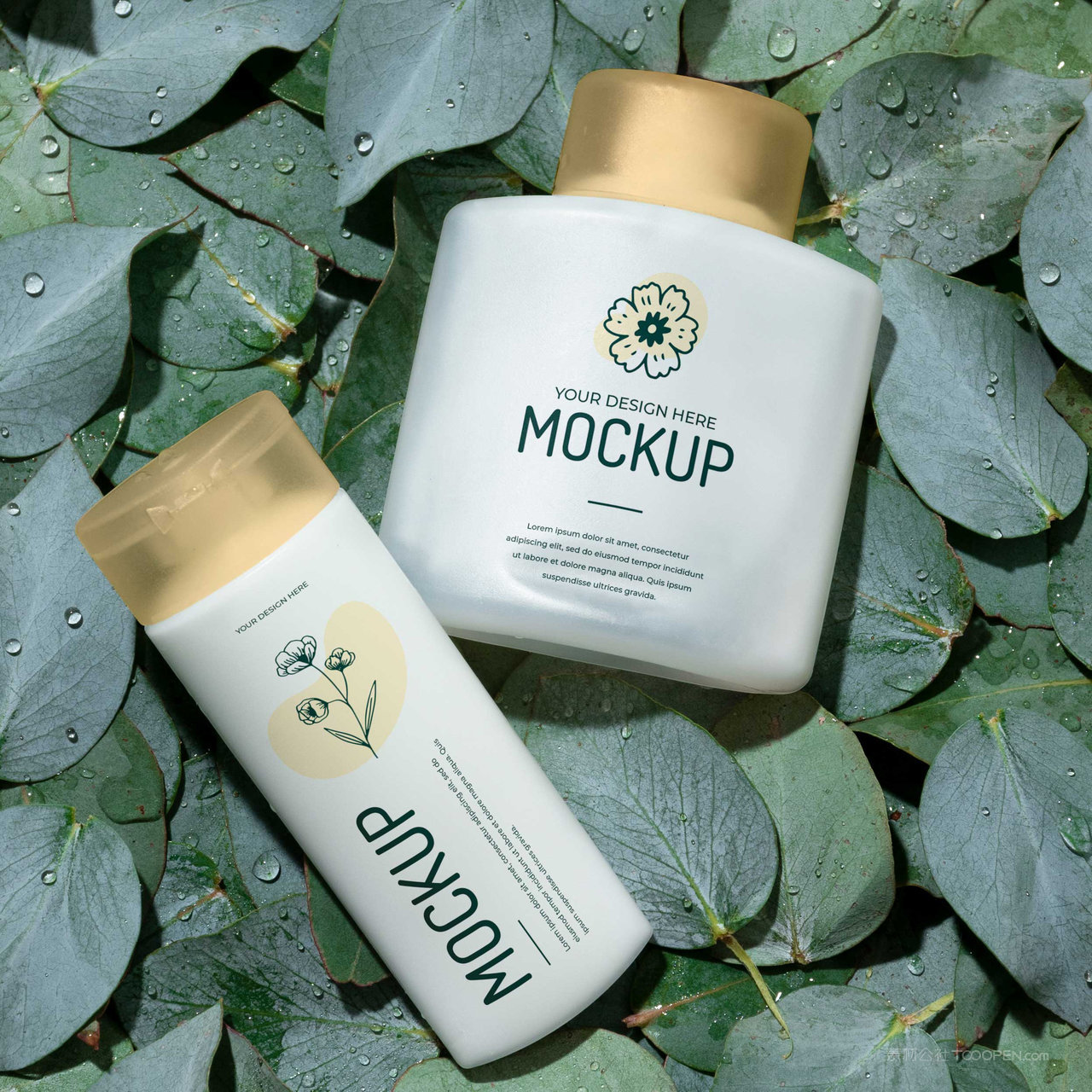 树叶上的瓶子化妆品护肤品包装贴图样机