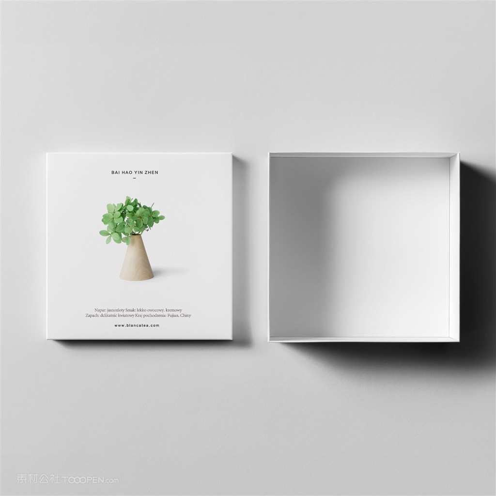 简约包装盒样机模板