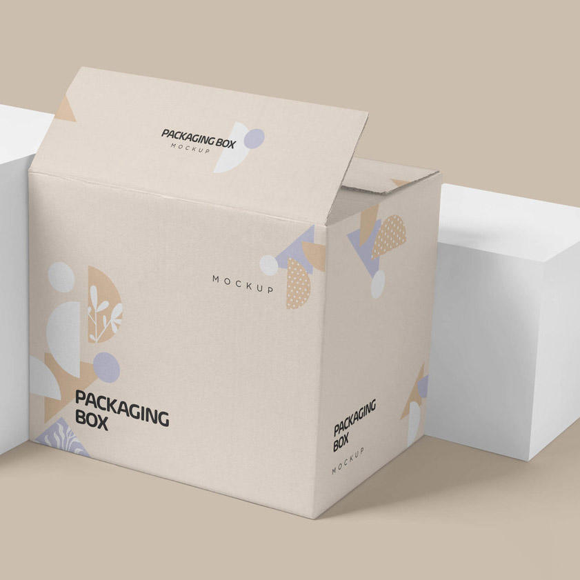 快递纸箱包装样机