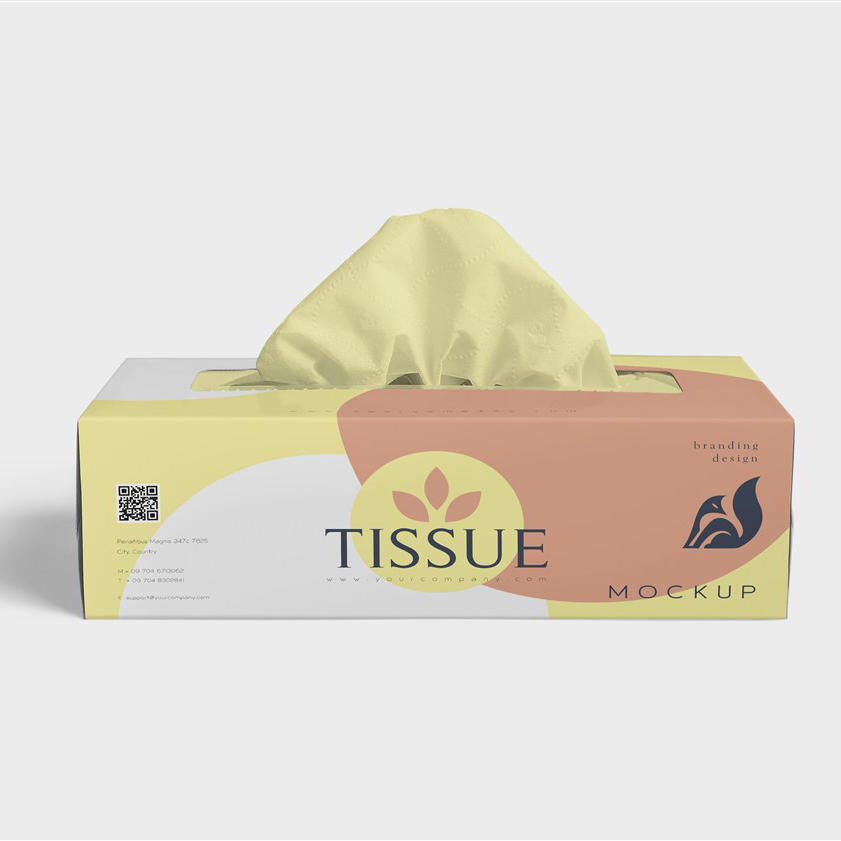 纸巾盒样机素材