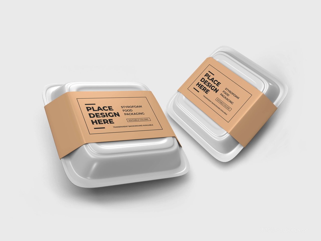 泡沫塑料外卖盒样机
