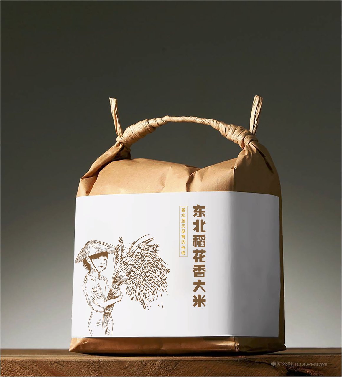 大米包装样机模板 (30)