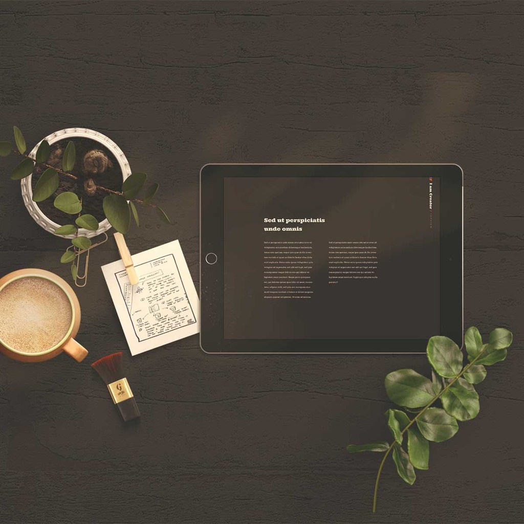 时尚化妆品vi平板包装设计样机