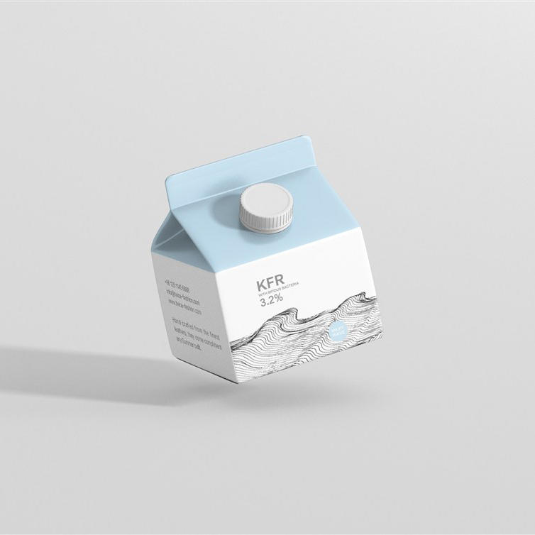 屋顶盒牛奶包装样机