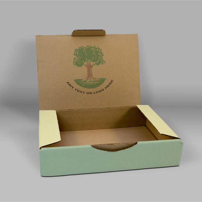 彩盒礼盒纸盒包装盒样机