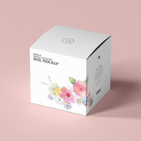 产品包装盒样机