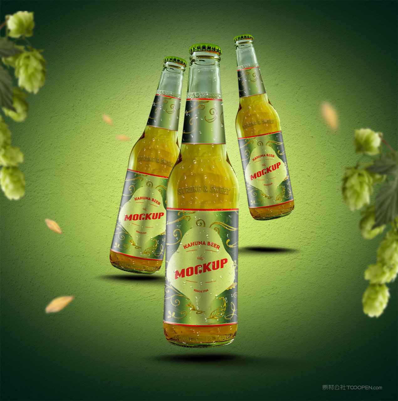 啤酒瓶包装样机