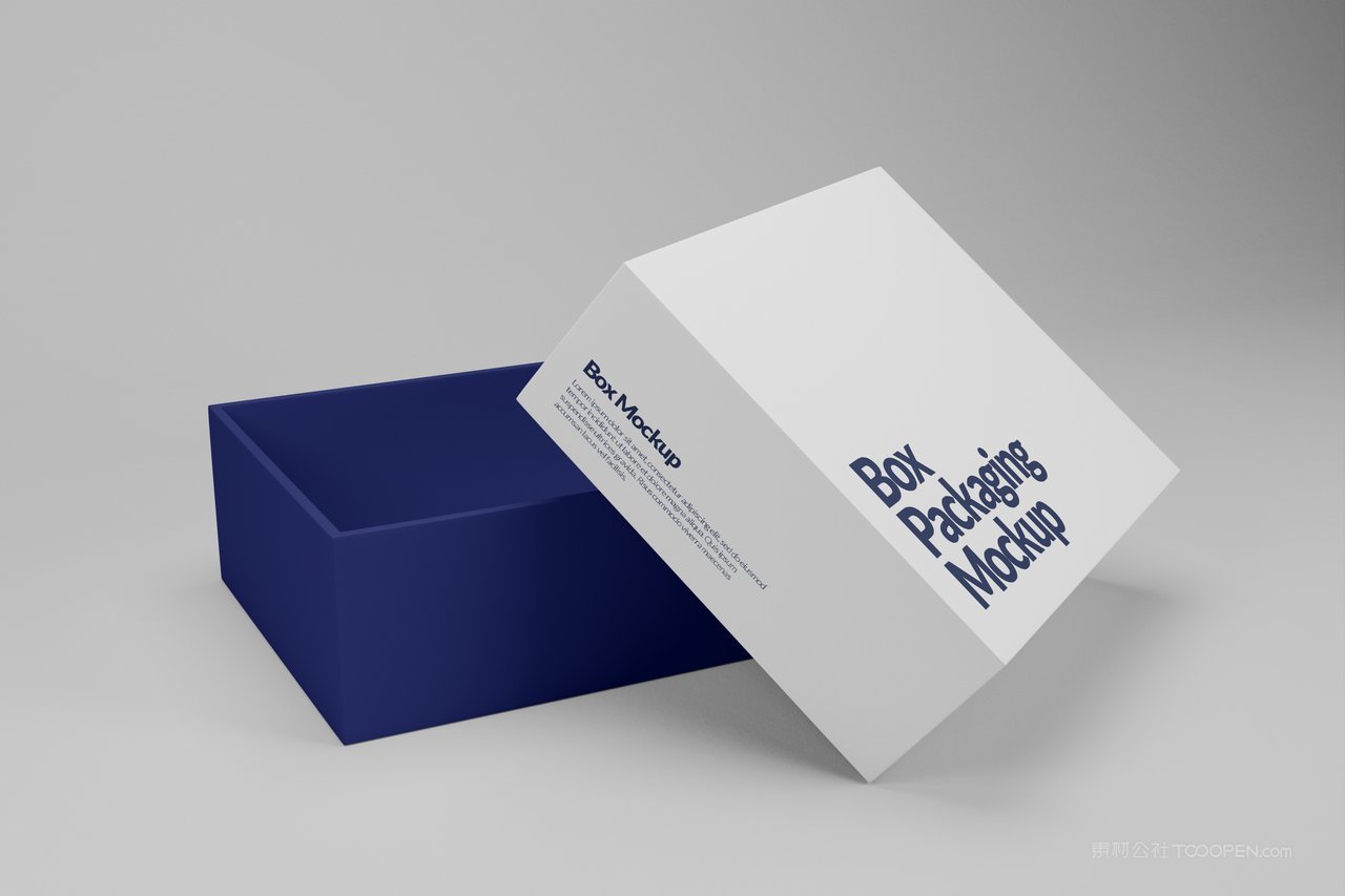 纸盒包装样机