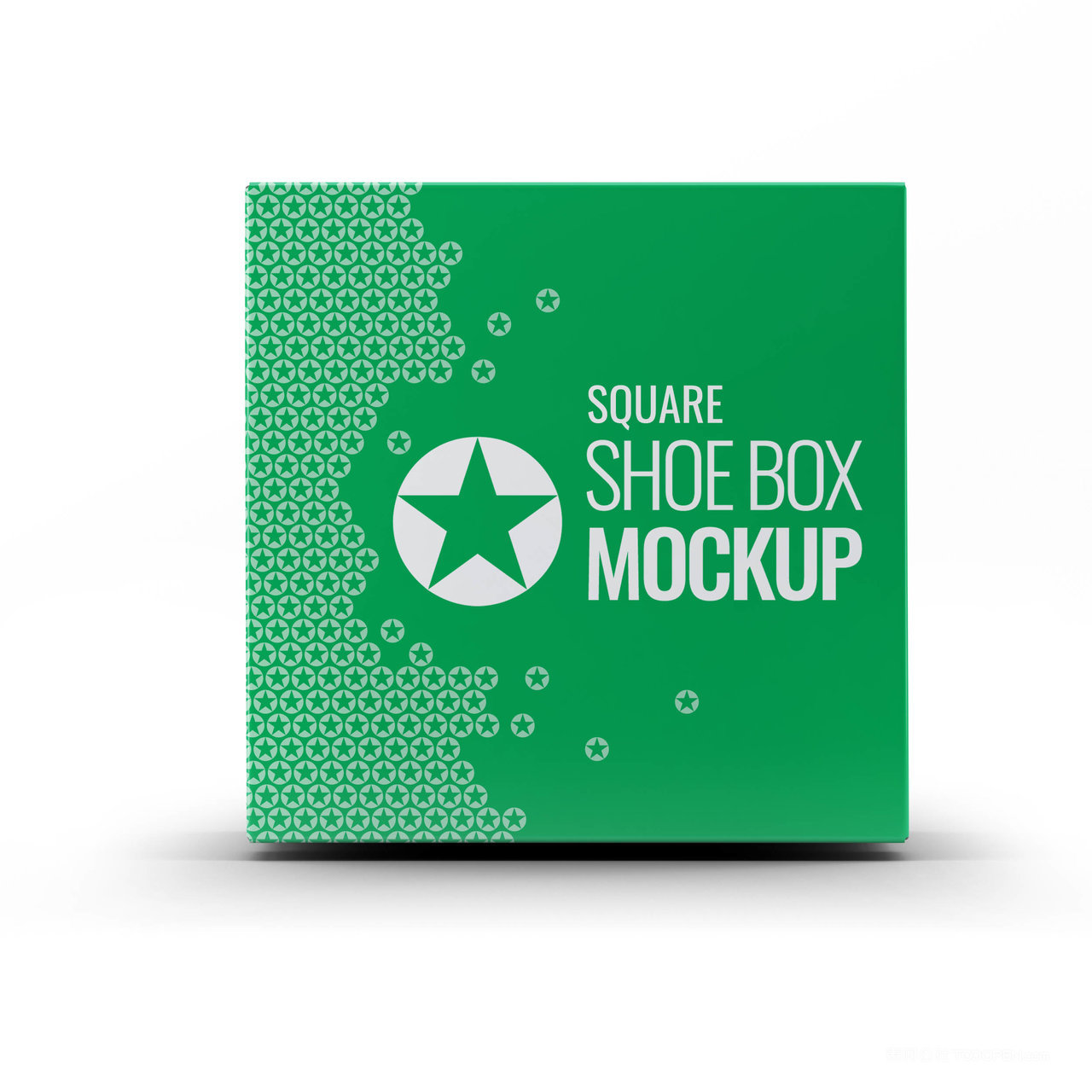 女鞋盒包装样机