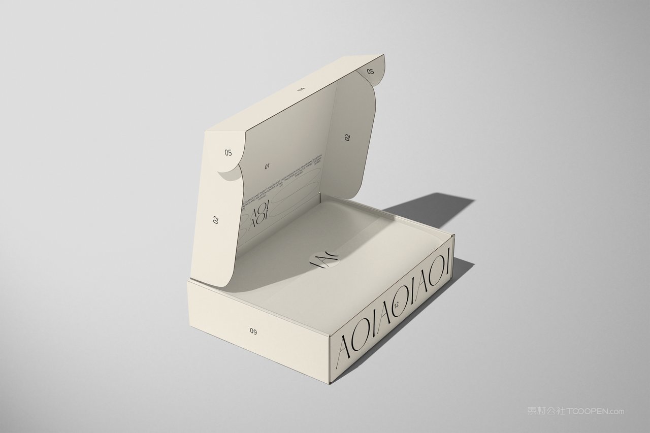 【2194期】英文字母飞机盒包装盒样机  (6)