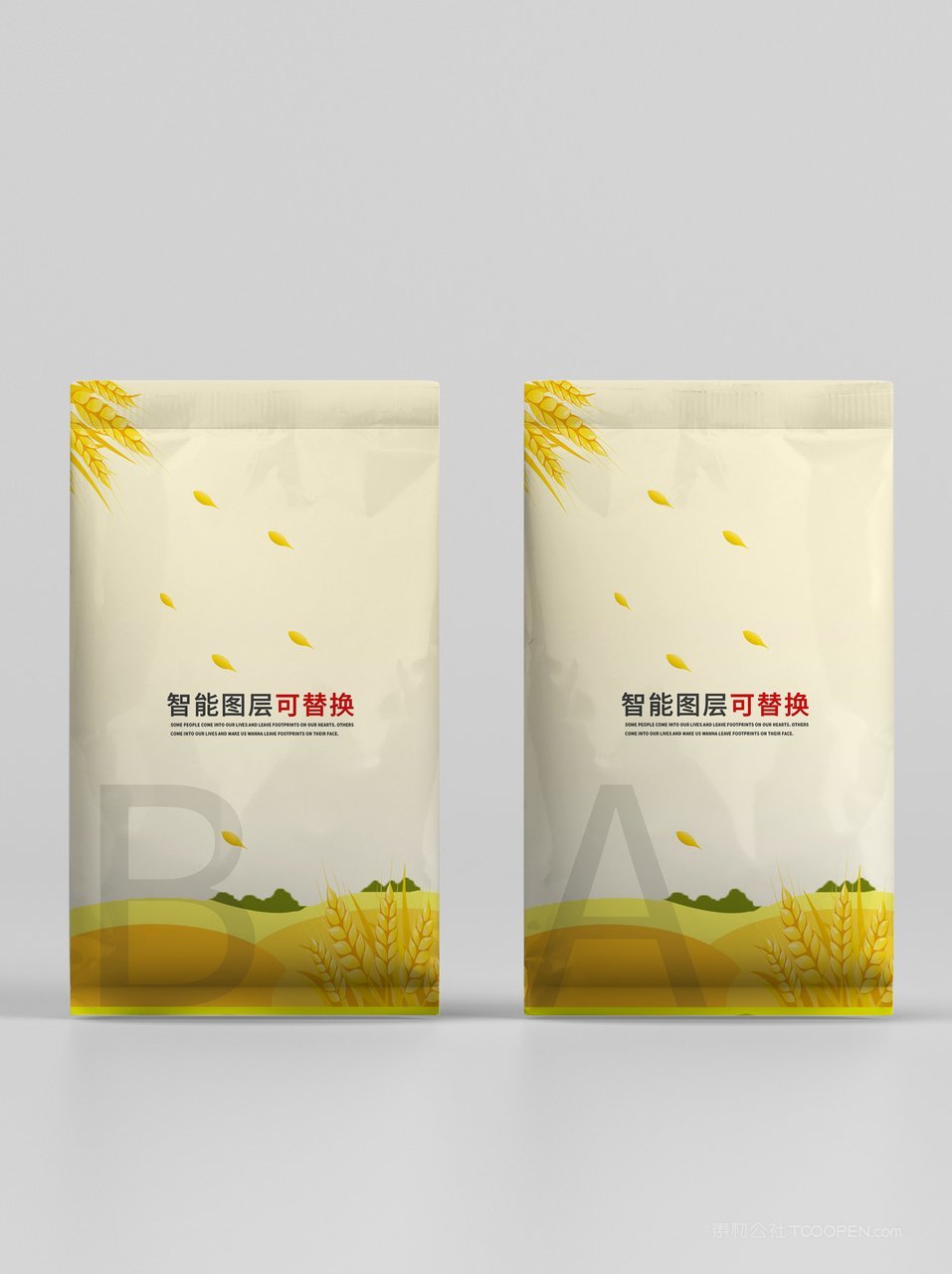大米包装样机模板 (42)