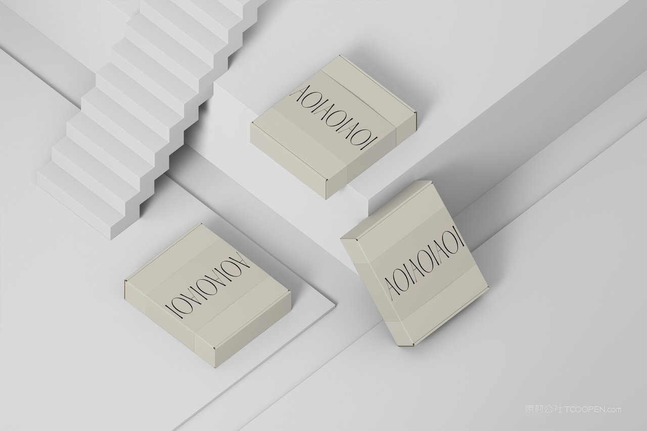 【2194期】英文字母飞机盒实拍包装盒样机  (13)