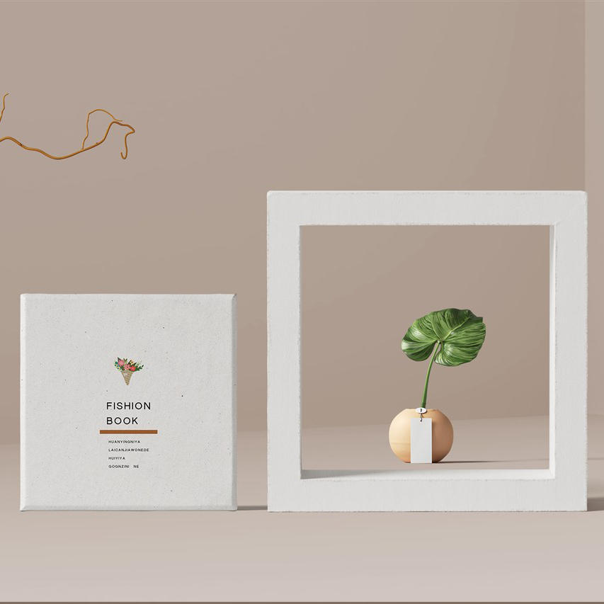 清新大气包装盒盒子封面样机