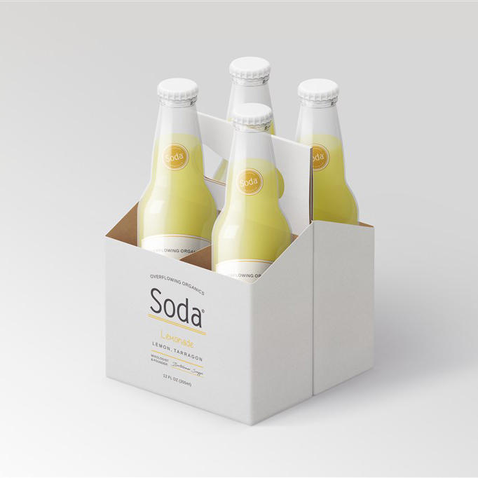 高档饮料瓶包装样机模板