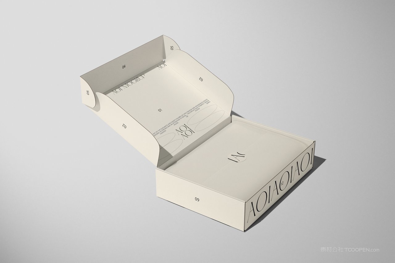 【2194期】英文字母飞机盒包装盒样机  (8)