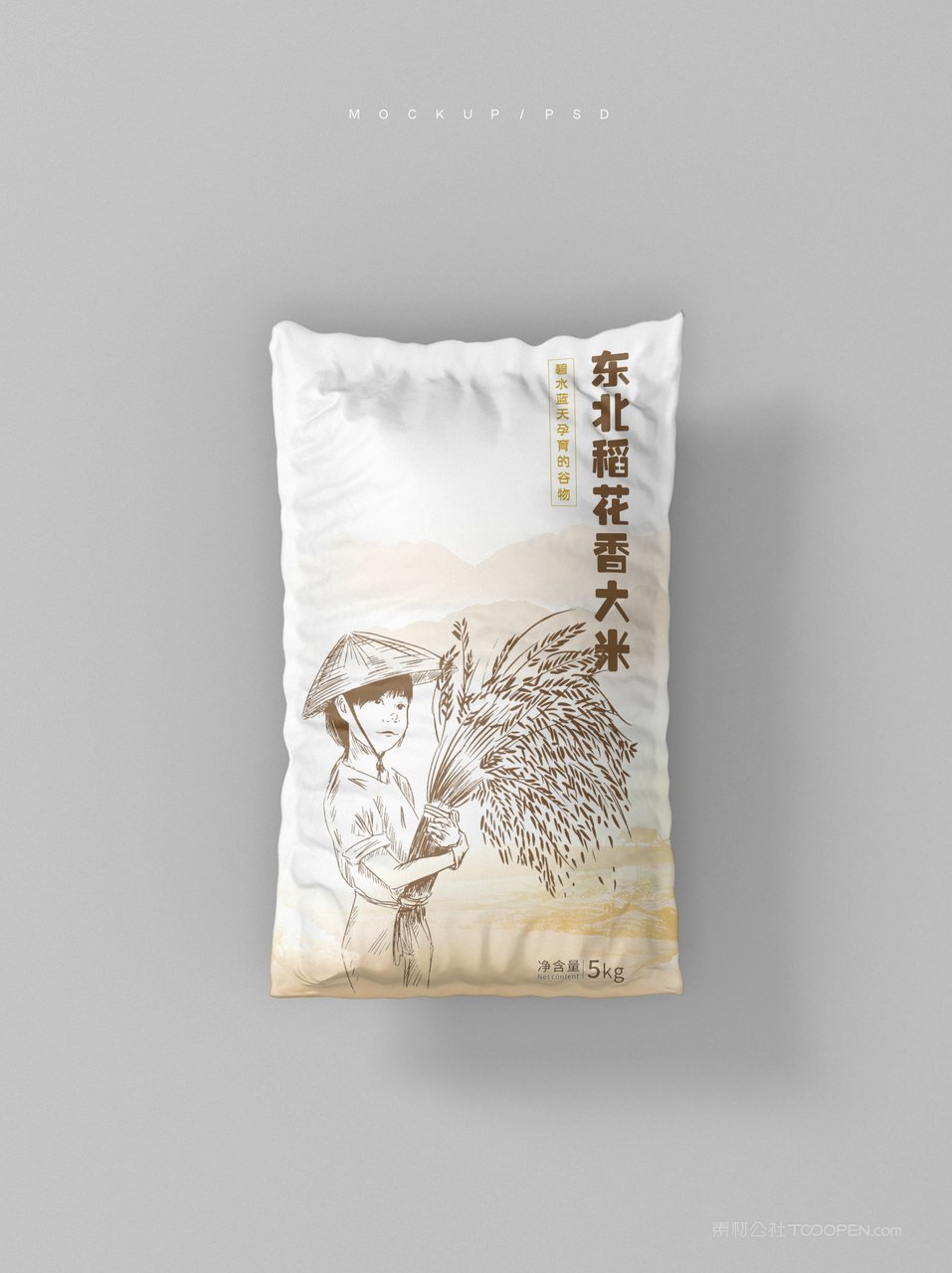 大米包装样机模板 (37)