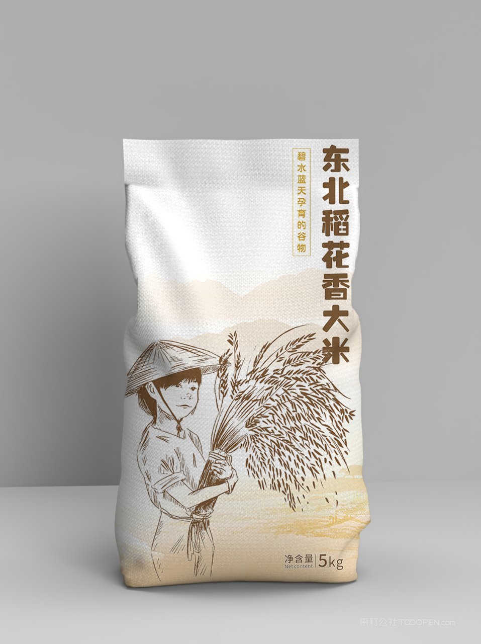 大米包装样机模板 (19)