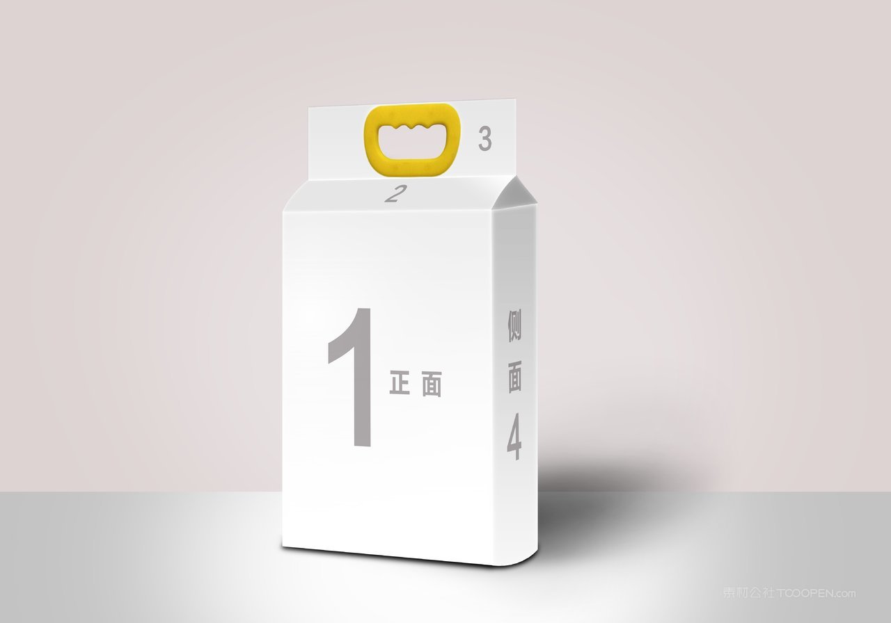 大米包装样机模板 (52)