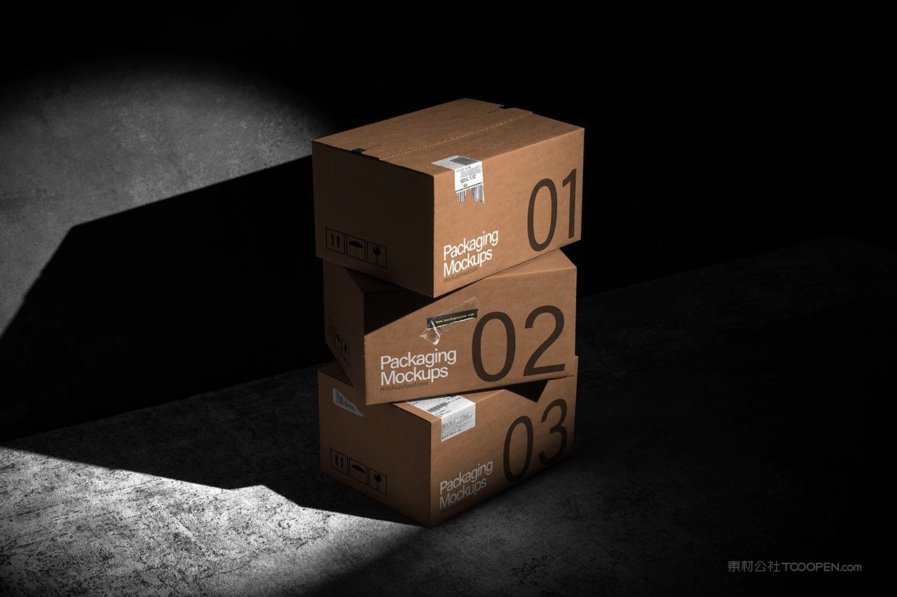 快递包装纸箱样机