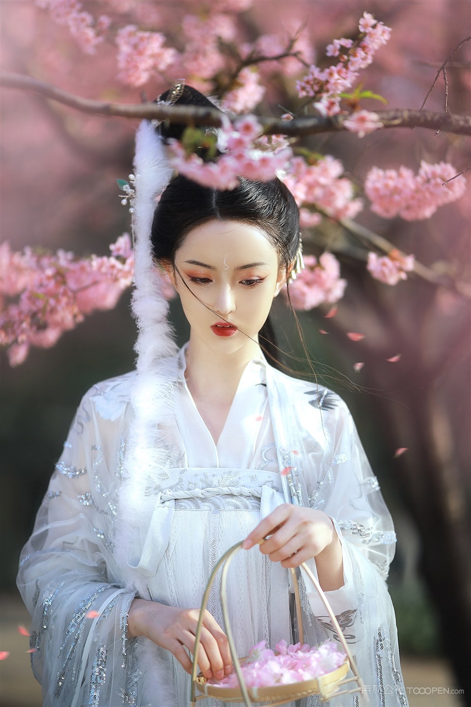 桃花族极品古装美女艺术写真图片