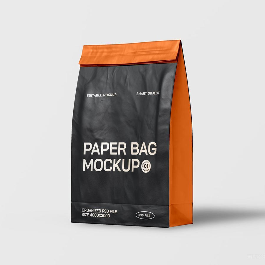 品牌纸袋包装样机