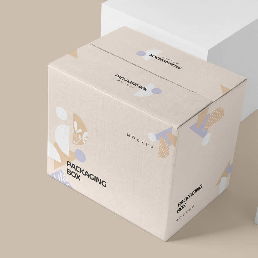 产品包装纸箱样机