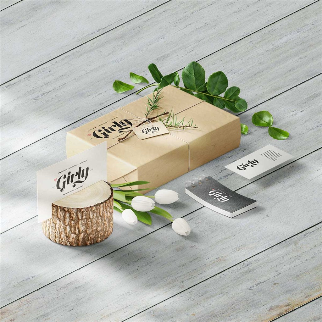 时尚清新化妆品包装设计样机模板