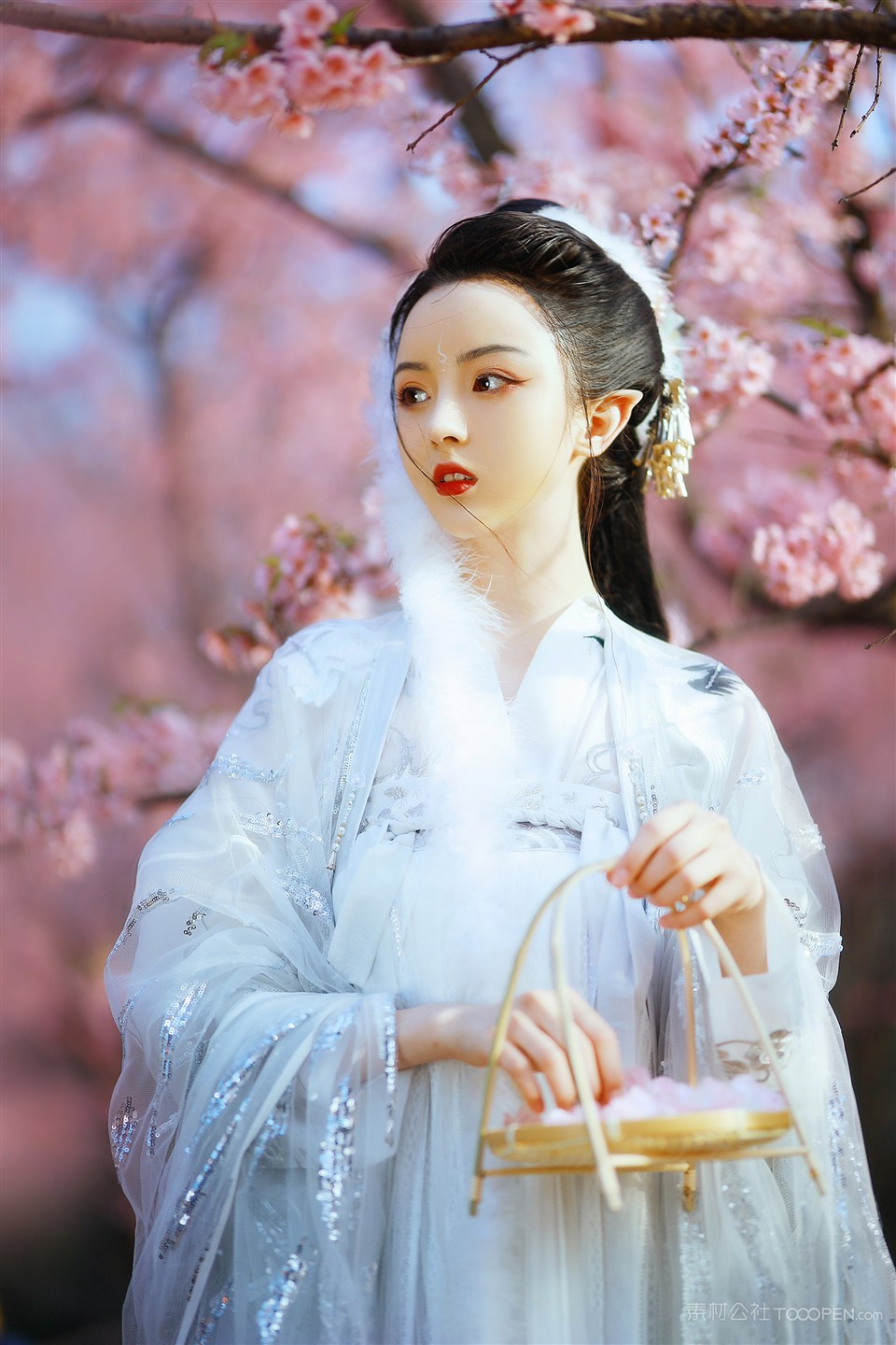 桃花族极品古装美女摄影图片高清