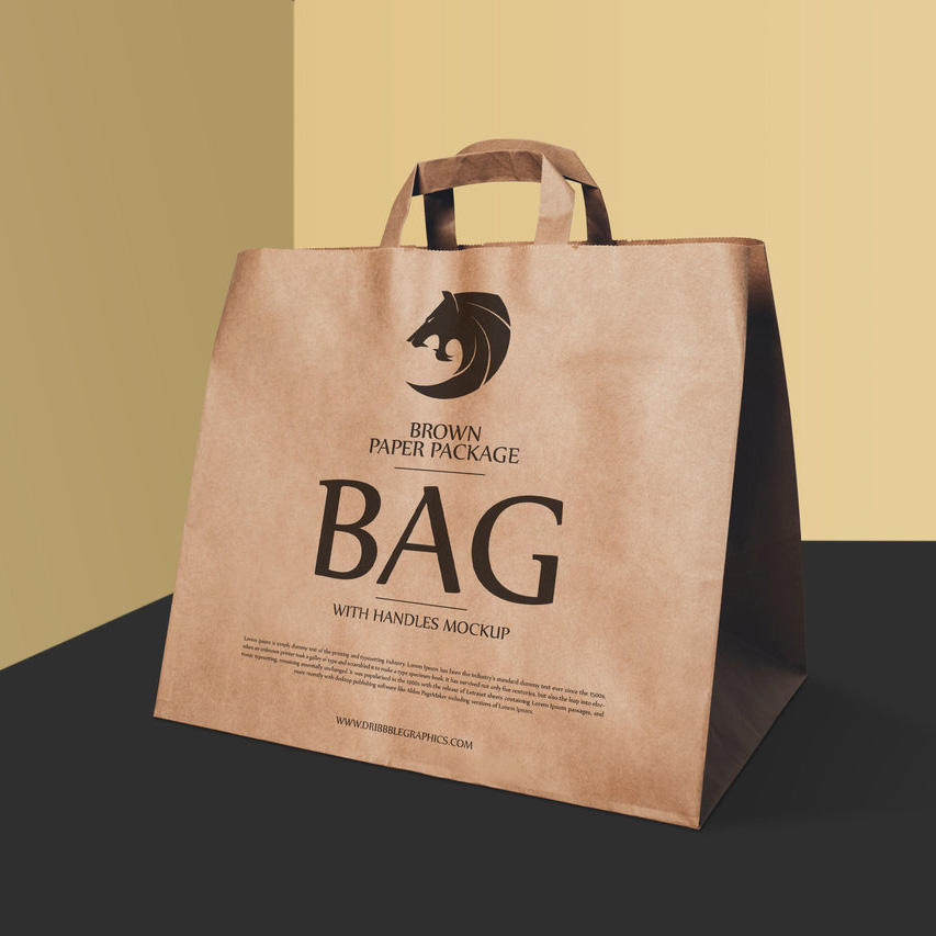 纸质包装袋样机