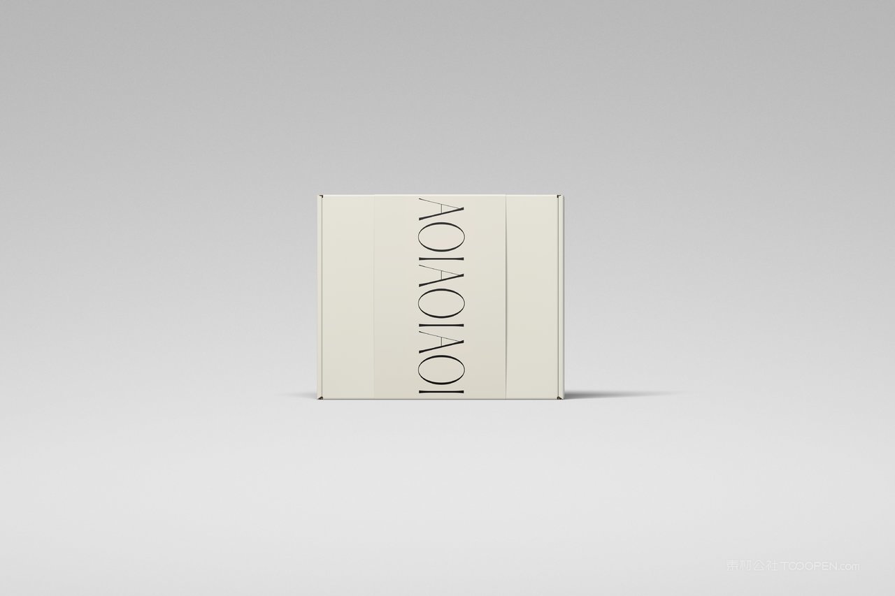 【2194期】英文字母飞机盒实拍包装盒样机  (7)