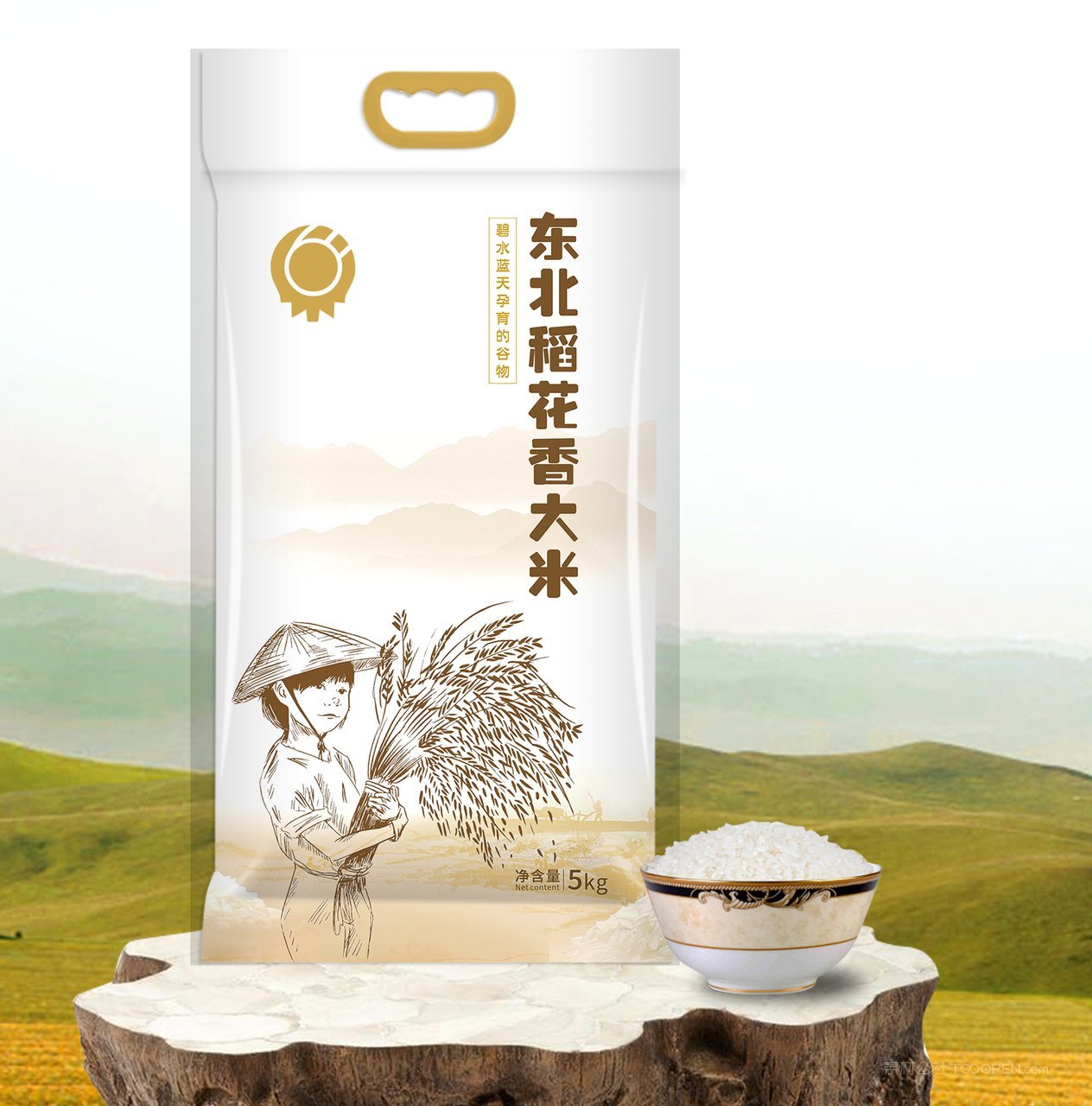 大米包装样机模板 (29)