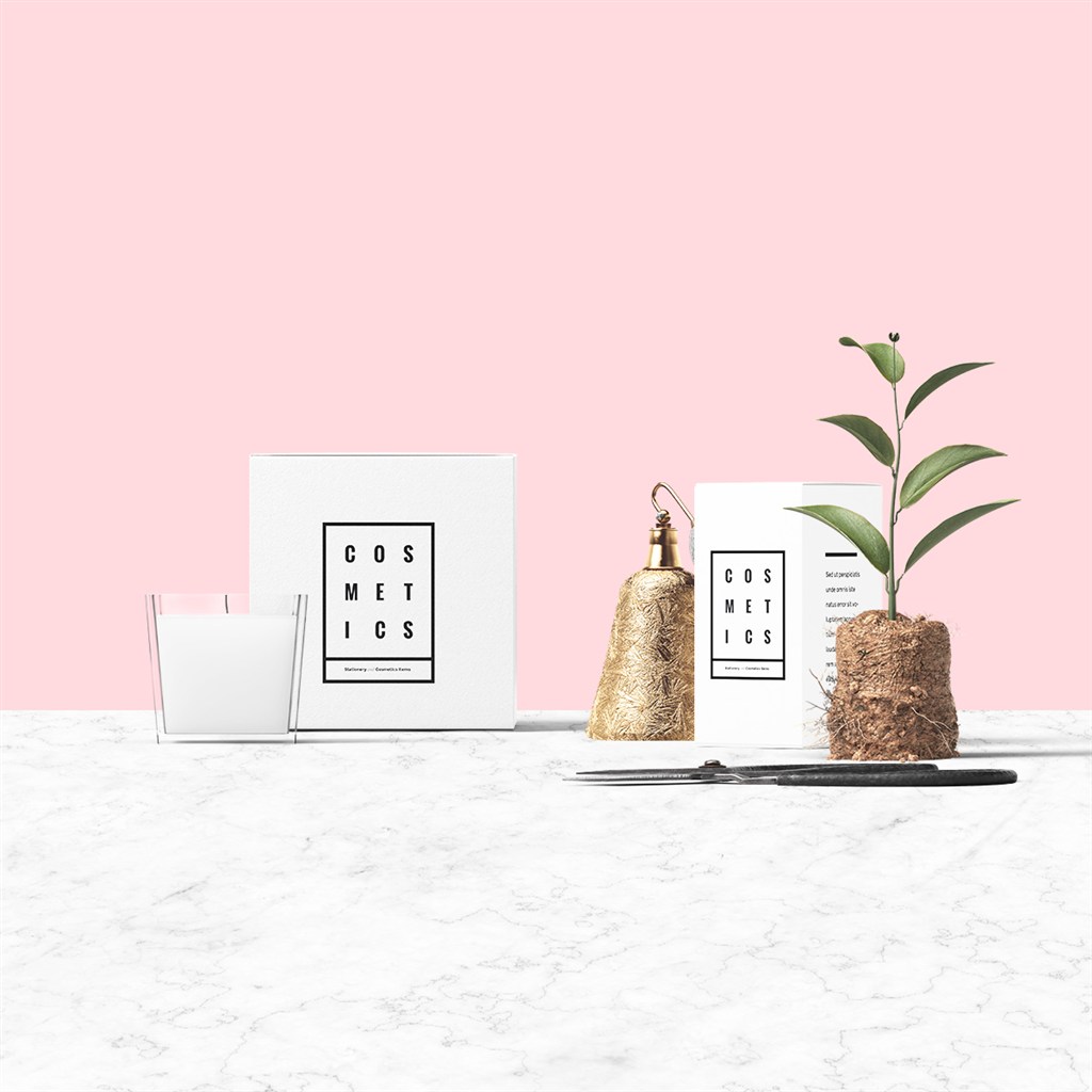 时尚化妆品包装设计样机