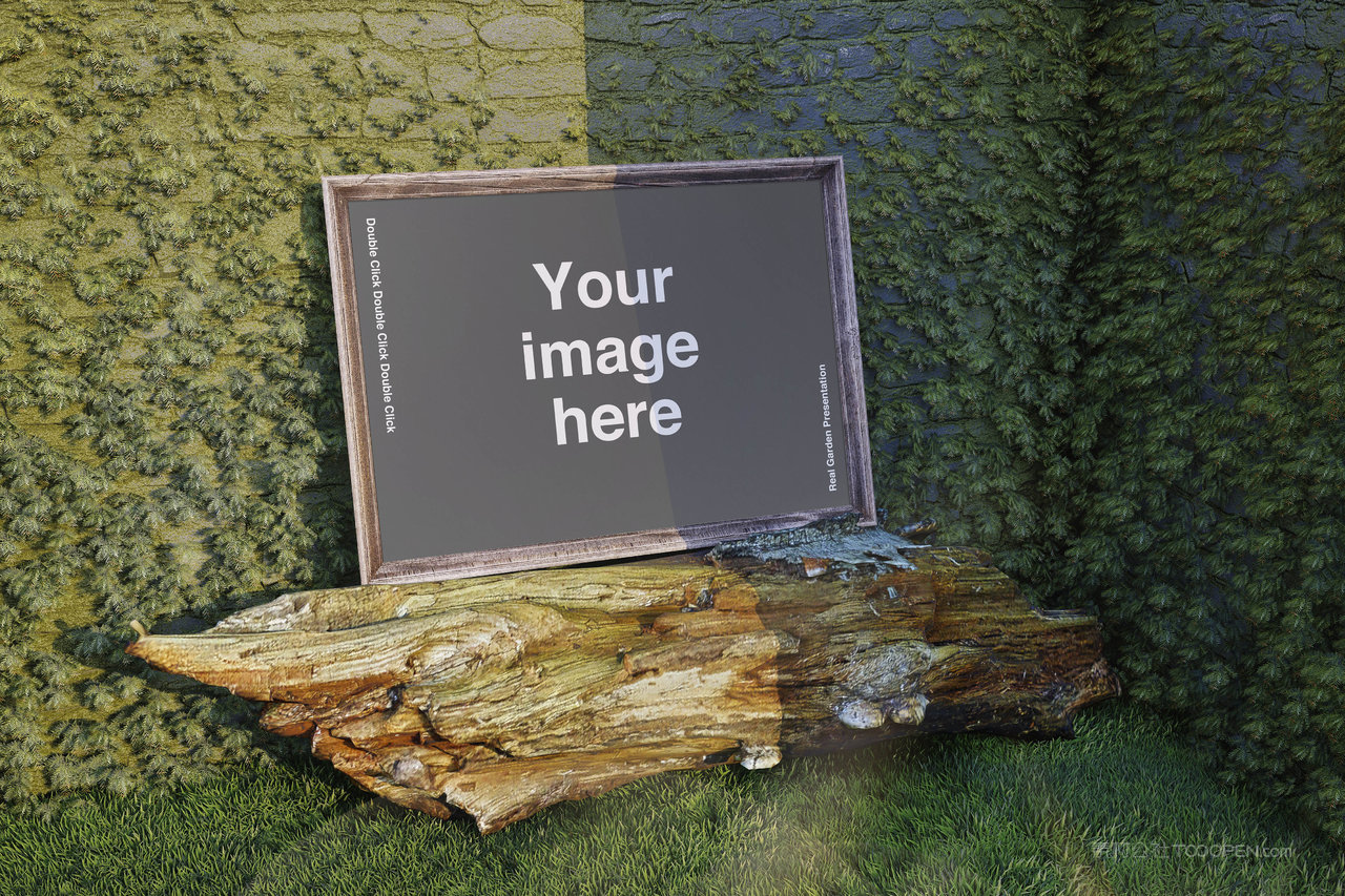 植物墙背景复古木框样机