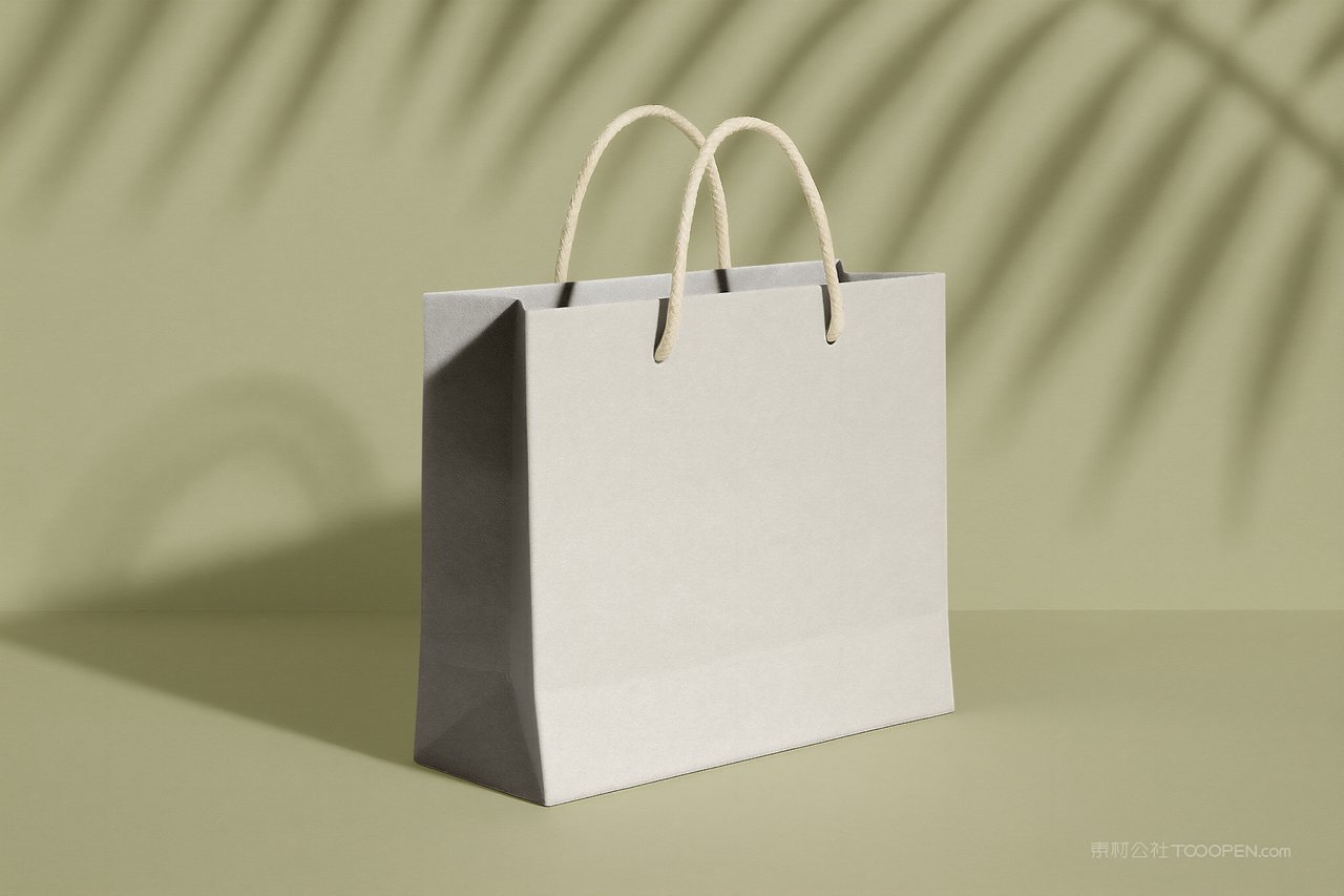 纸袋购物袋样机