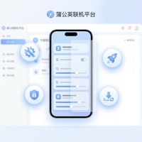 蒲公英联机平台使用方法与技巧教程，轻松掌握核心功能